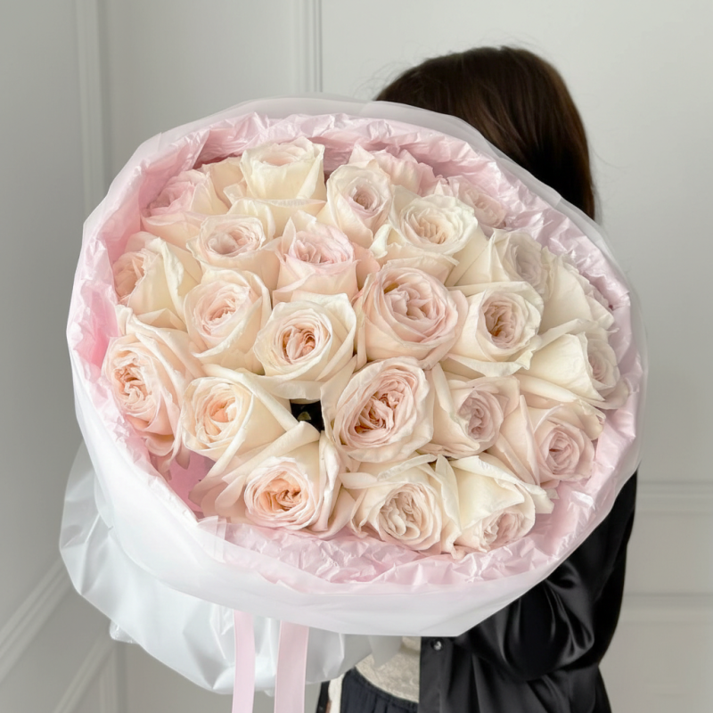 Gemini_Generated_Image_dnxk9ednxk9ednxk (1)72